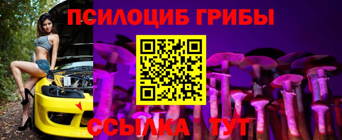 Псилоцибиновые грибы Cubensis  Вход с VPN  Псилоцибиновые грибы Magic Shrooms  Костомукша 